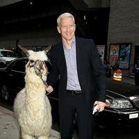 Anderson Cooper at the 'Late Show with David Letterman'